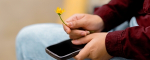 Hands holding a flower and a phone