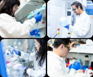Four scientists in a lab